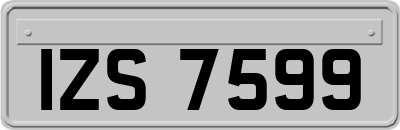 IZS7599