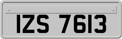 IZS7613
