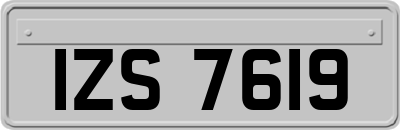 IZS7619