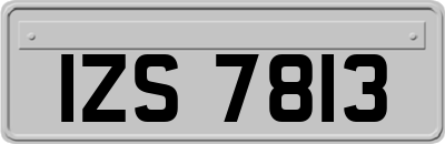 IZS7813