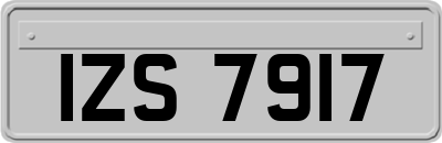 IZS7917