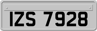 IZS7928