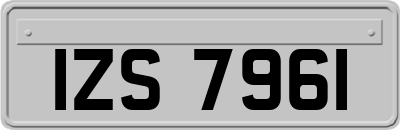 IZS7961