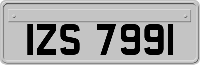 IZS7991