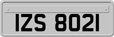 IZS8021