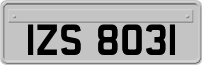 IZS8031