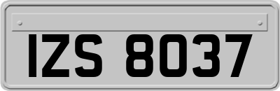 IZS8037