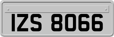 IZS8066