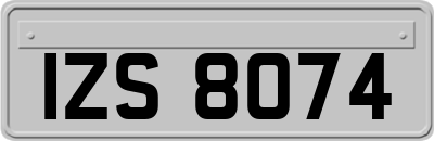 IZS8074