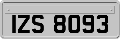 IZS8093