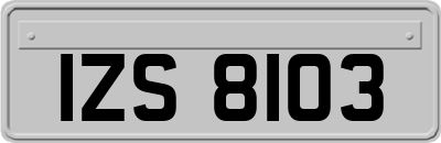 IZS8103
