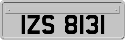 IZS8131