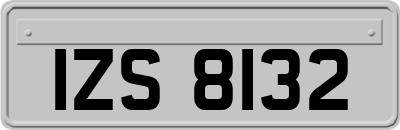 IZS8132