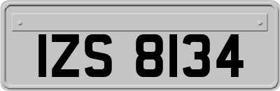 IZS8134