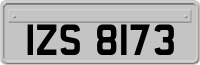 IZS8173