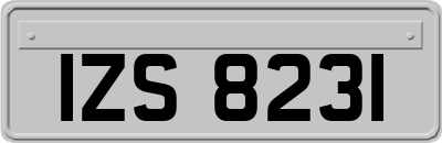 IZS8231