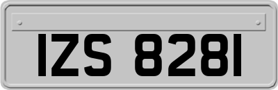 IZS8281