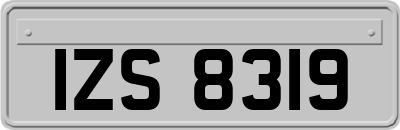 IZS8319