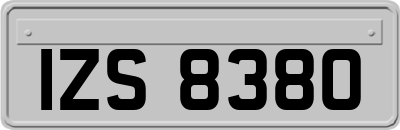 IZS8380