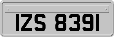 IZS8391