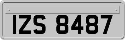 IZS8487