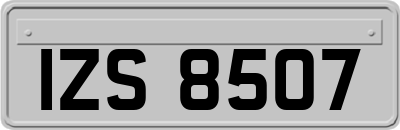 IZS8507