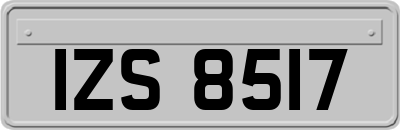 IZS8517