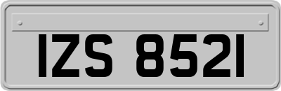 IZS8521