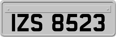 IZS8523