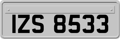 IZS8533