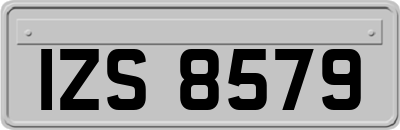 IZS8579