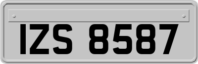 IZS8587
