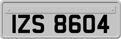 IZS8604