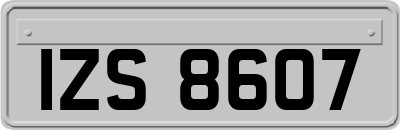 IZS8607