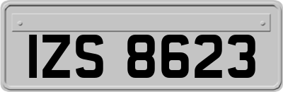 IZS8623