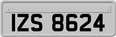 IZS8624