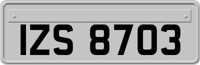 IZS8703