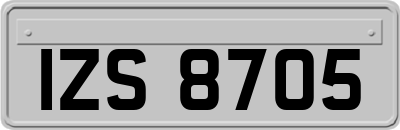 IZS8705