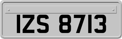 IZS8713