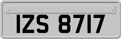 IZS8717