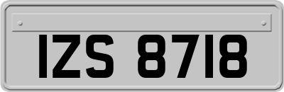 IZS8718