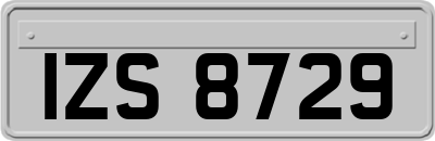 IZS8729