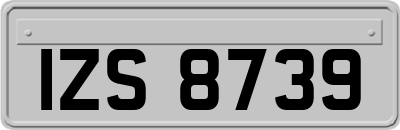 IZS8739