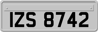 IZS8742