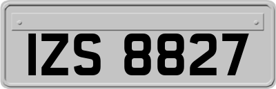IZS8827