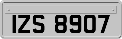 IZS8907