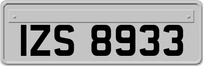 IZS8933