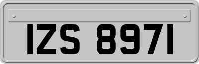 IZS8971