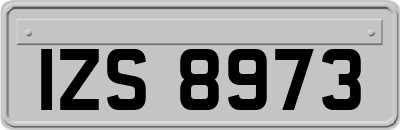 IZS8973