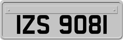 IZS9081